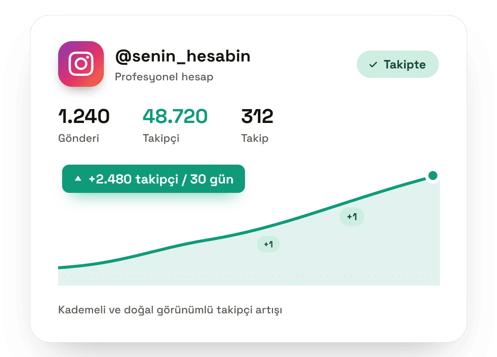 Instagram takipçi artışını gösteren büyüme grafiği — Takipevi