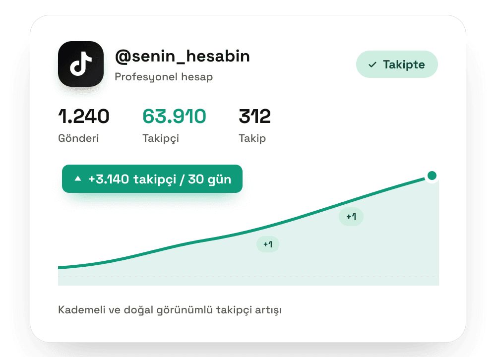 TikTok takipçi artışını gösteren büyüme grafiği — Takipevi